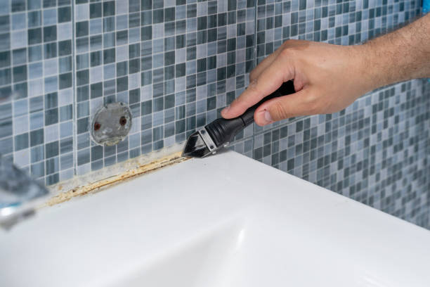 Best Localized Mold Remediation (e.g., coastal areas, humid climates) in Pimlico, SC